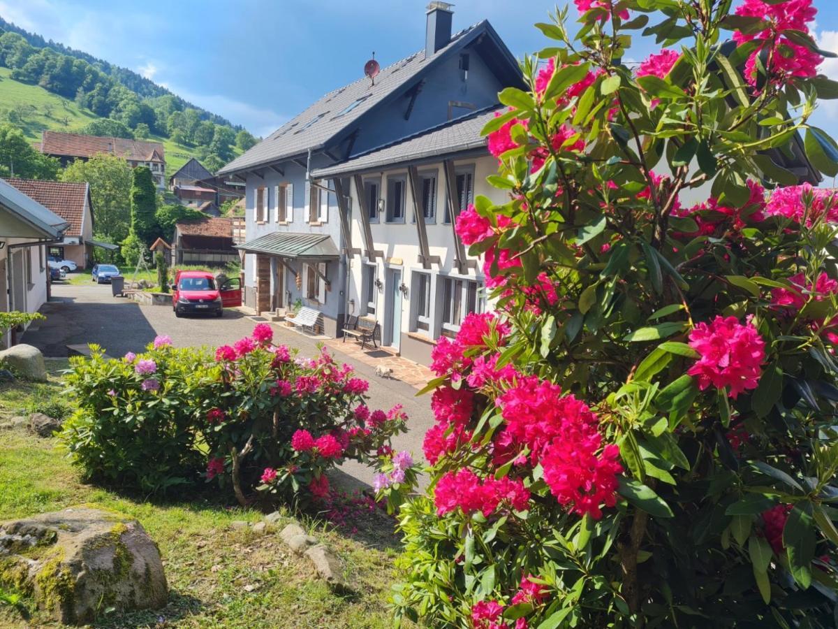 Locations Des 3 Sommets Avec Sauna Et Spa En Alsace Sondernach Exterior foto