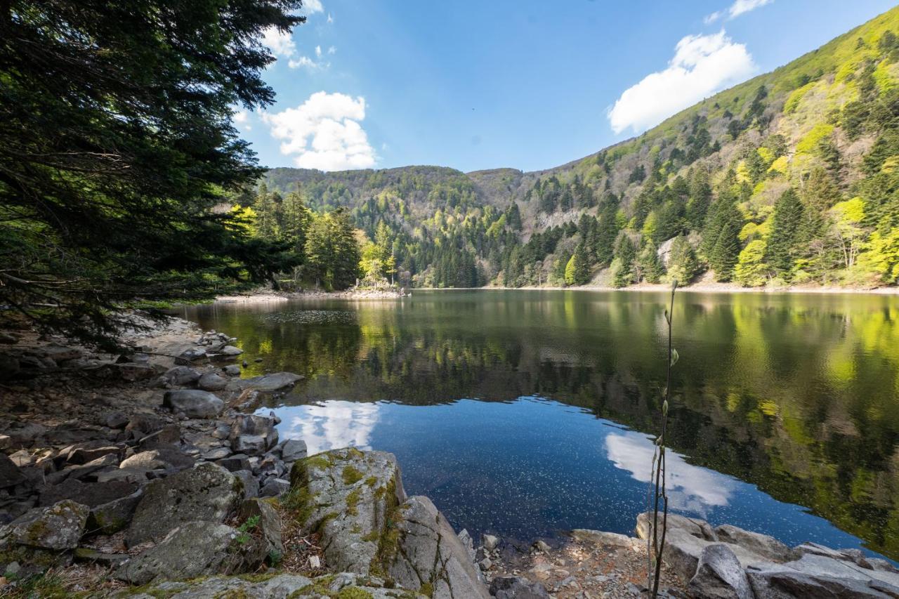 Locations Des 3 Sommets Avec Sauna Et Spa En Alsace Sondernach Exterior foto