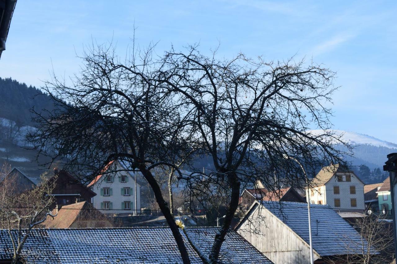 Locations Des 3 Sommets Avec Sauna Et Spa En Alsace Sondernach Exterior foto